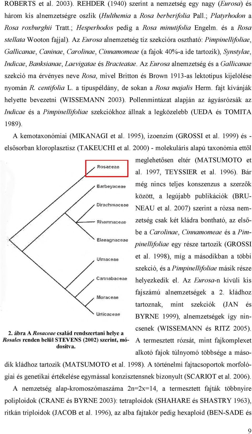 1995), nm (GROSSI. 1999) - őbn kp (TAKEUCHI. 2000) - mku pú xnóm ő 2. b A Rc cd ndn hy R ndn bü STEVENS (2002) n, módv. mhőn (MATSUMOTO. 1997, TEYSSIER. 1996).