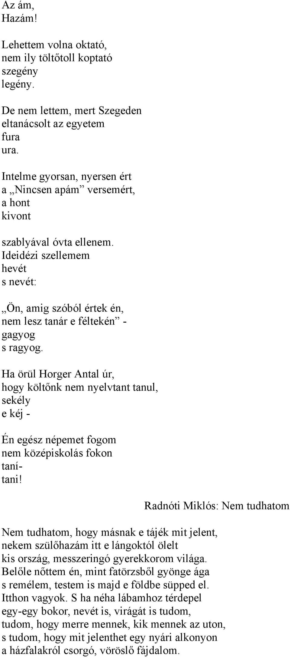 Ha örül Horger Antal úr, hogy költőnk nem nyelvtant tanul, sekély e kéj - Én egész népemet fogom nem középiskolás fokon tanítani!