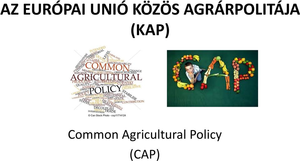 AZ EURÓPAI UNIÓ KÖZÖS AGRÁRPOLITÁJA (KAP) Common Agricultural Policy (CAP)  - PDF Ingyenes letöltés