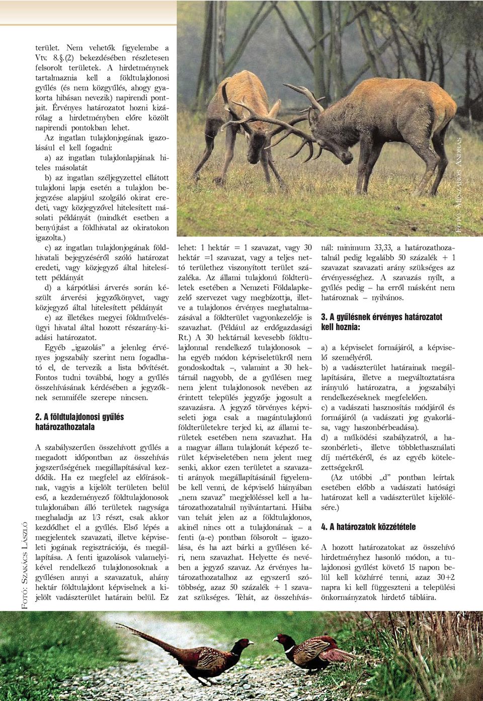 Érvényes határozatot hozni kizárólag a hirdetményben elõre közölt napirendi pontokban lehet.