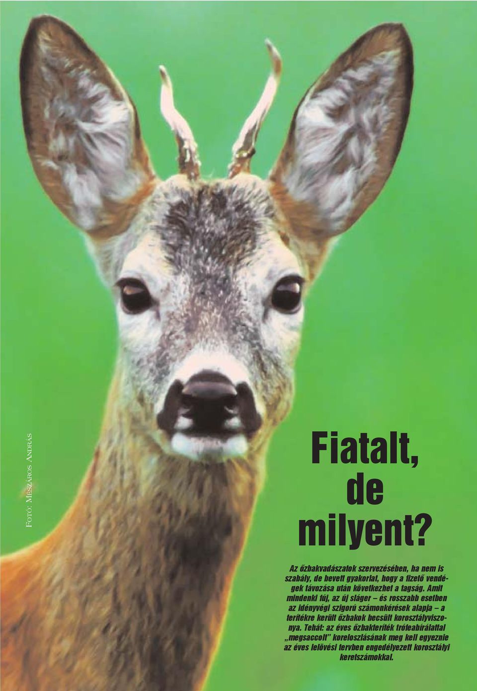 következhet a tagság.