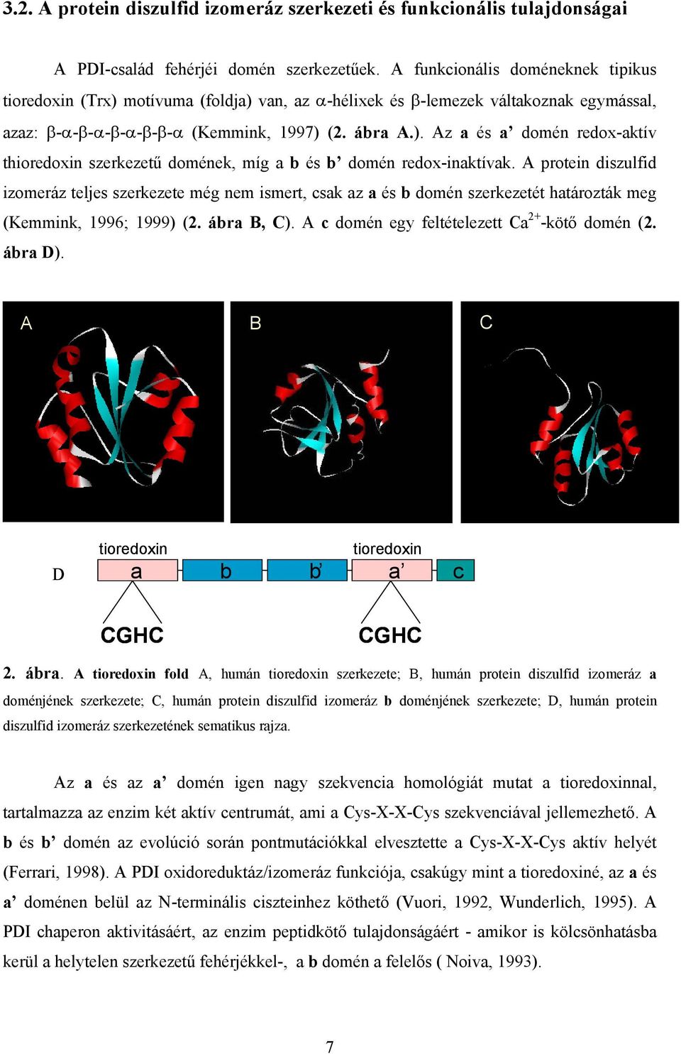 A protein diszulfid izomeráz teljes szerkezete még nem ismert, csak az a és b domén szerkezetét határozták meg (Kemmink, 1996; 1999) (2. ábra B, C). A c domén egy feltételezett Ca 2+ -köt domén (2.