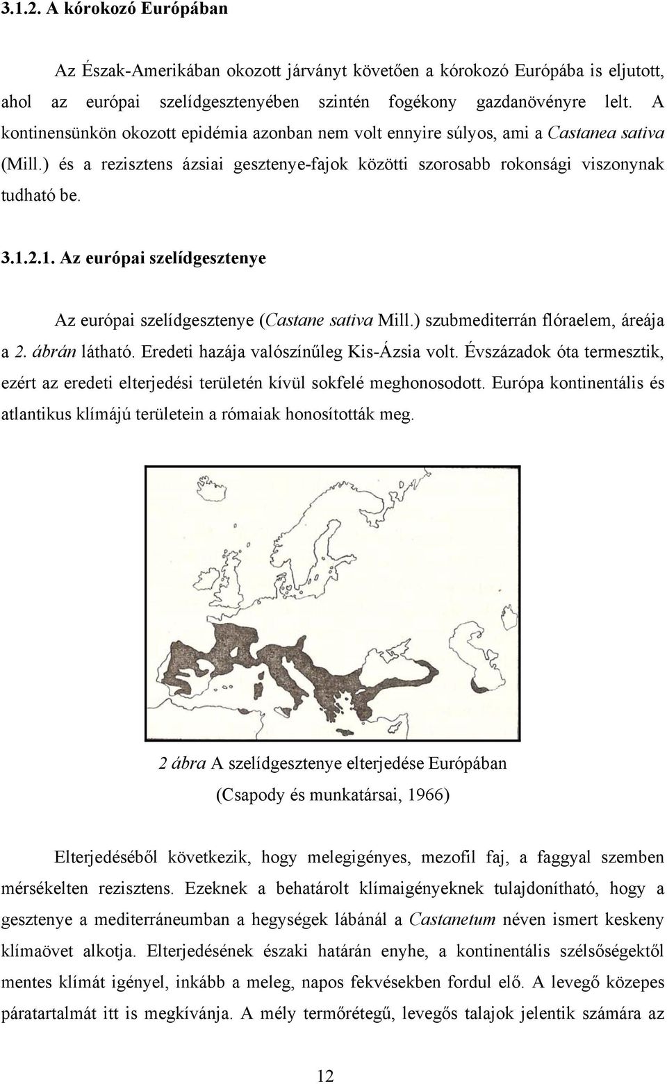 2.1. Az európai szelídgesztenye Az európai szelídgesztenye (Castane sativa Mill.) szubmediterrán flóraelem, áreája a 2. ábrán látható. Eredeti hazája valószínűleg Kis-Ázsia volt.