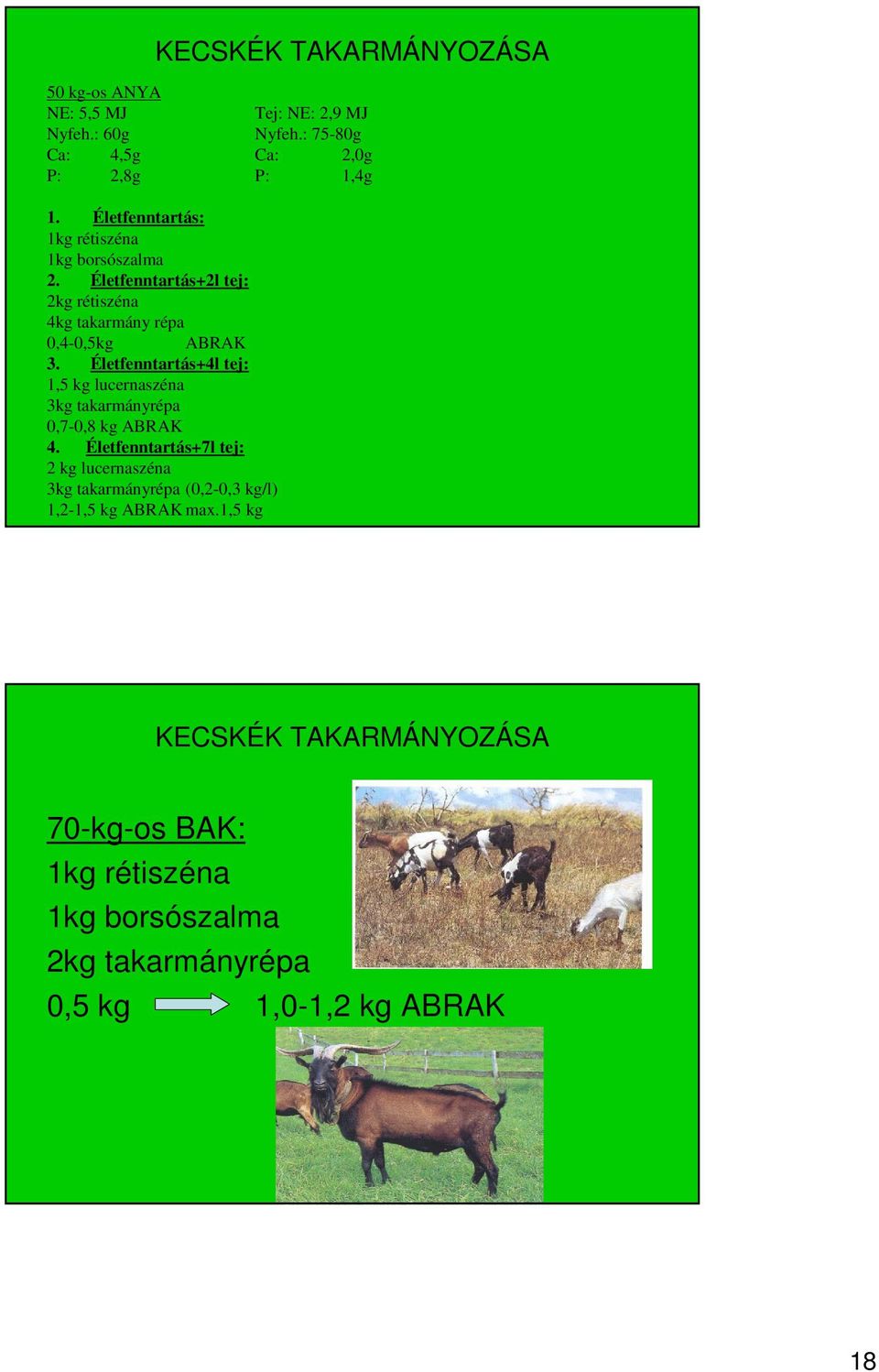 Életfenntartás+4l tej: 1,5 kg lucernaszéna 3kg takarmányrépa 0,7-0,8 kg ABRAK 4.