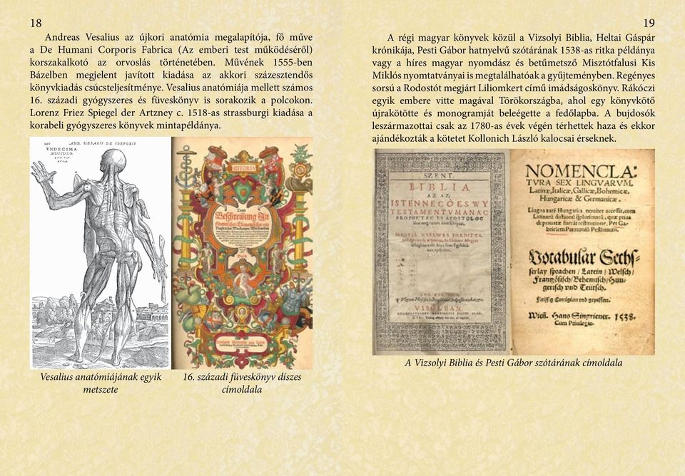 századi gyógyszeres és füveskönyv is sorakozik a polcokon. Lorenz Friez Spiegel der Artzney c. 1518-as strassburgi kiadása a korabeli gyógyszeres könyvek mintapéldánya.