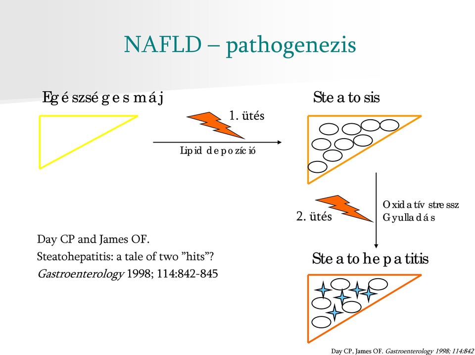 ütés Oxidatív stressz Gyulladás Day CP and James OF.