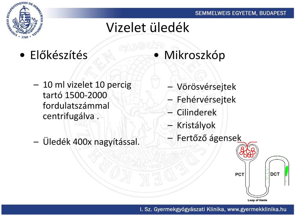 centrifugálva. Üledék 400x nagyítással.