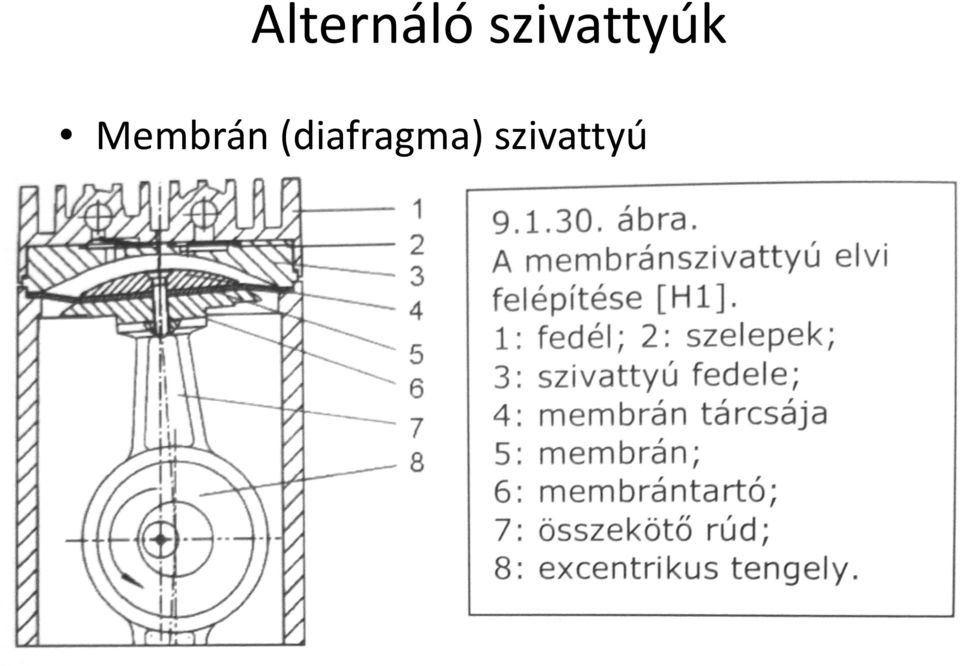 Membrán