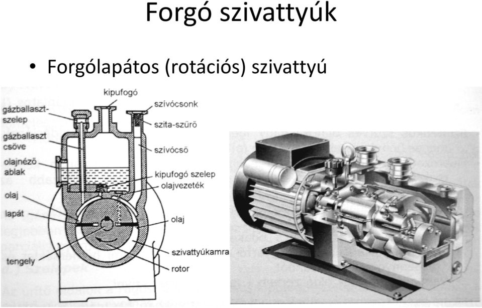 lapátos