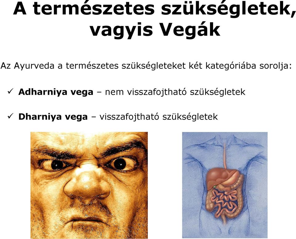 kategóriába sorolja: Adharniya vega nem