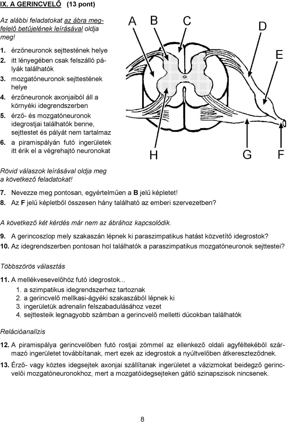 a piramispályán futó ingerületek itt érik el a végrehajtó neuronokat Rövid válaszok leírásával oldja meg a következő feladatokat! 7. Nevezze meg pontosan, egyértelműen a B jelű képletet! 8.