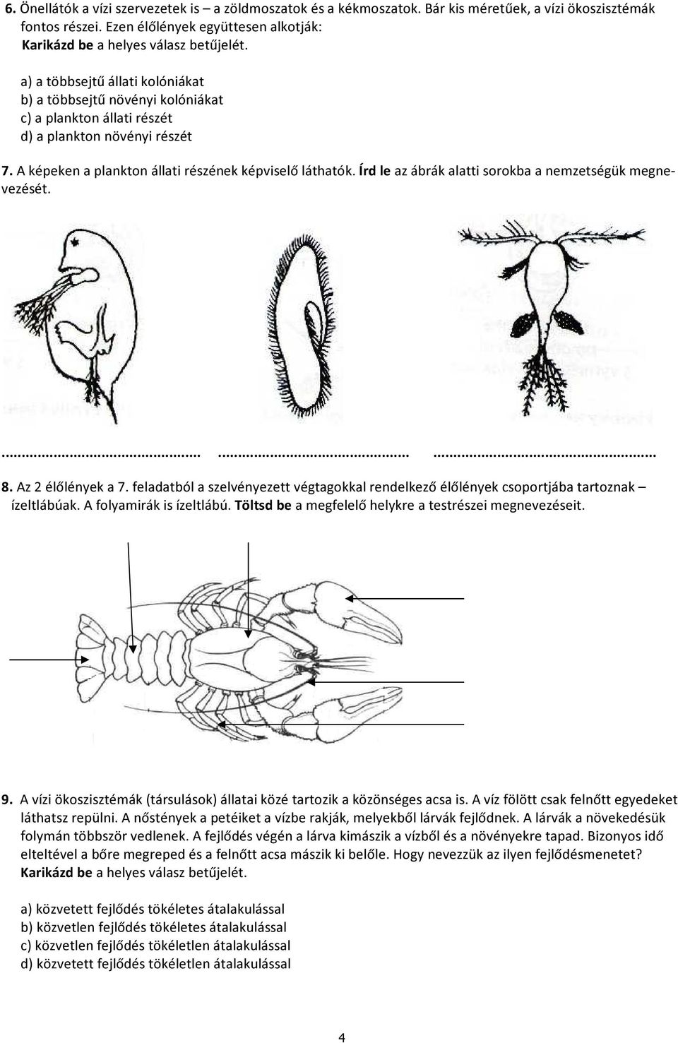 Írd le az ábrák alatti sorokba a nemzetségük megnevezését.......... 8. Az 2 élőlények a 7. feladatból a szelvényezett végtagokkal rendelkező élőlények csoportjába tartoznak ízeltlábúak.