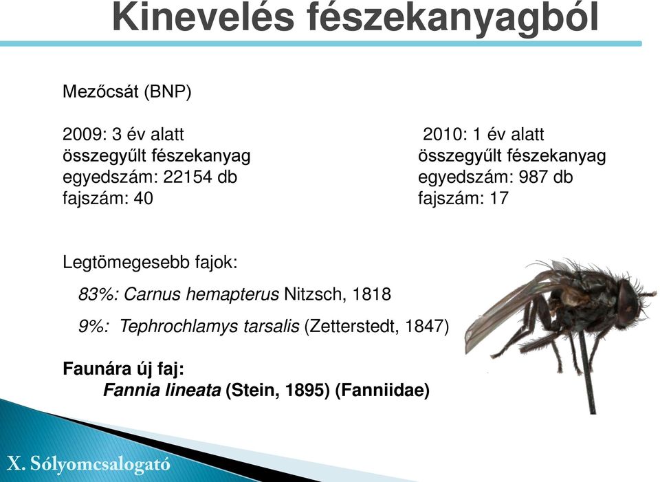 fajszám: 17 Legtömegesebb fajok: 83%: Carnus hemapterus Nitzsch, 1818 9%: