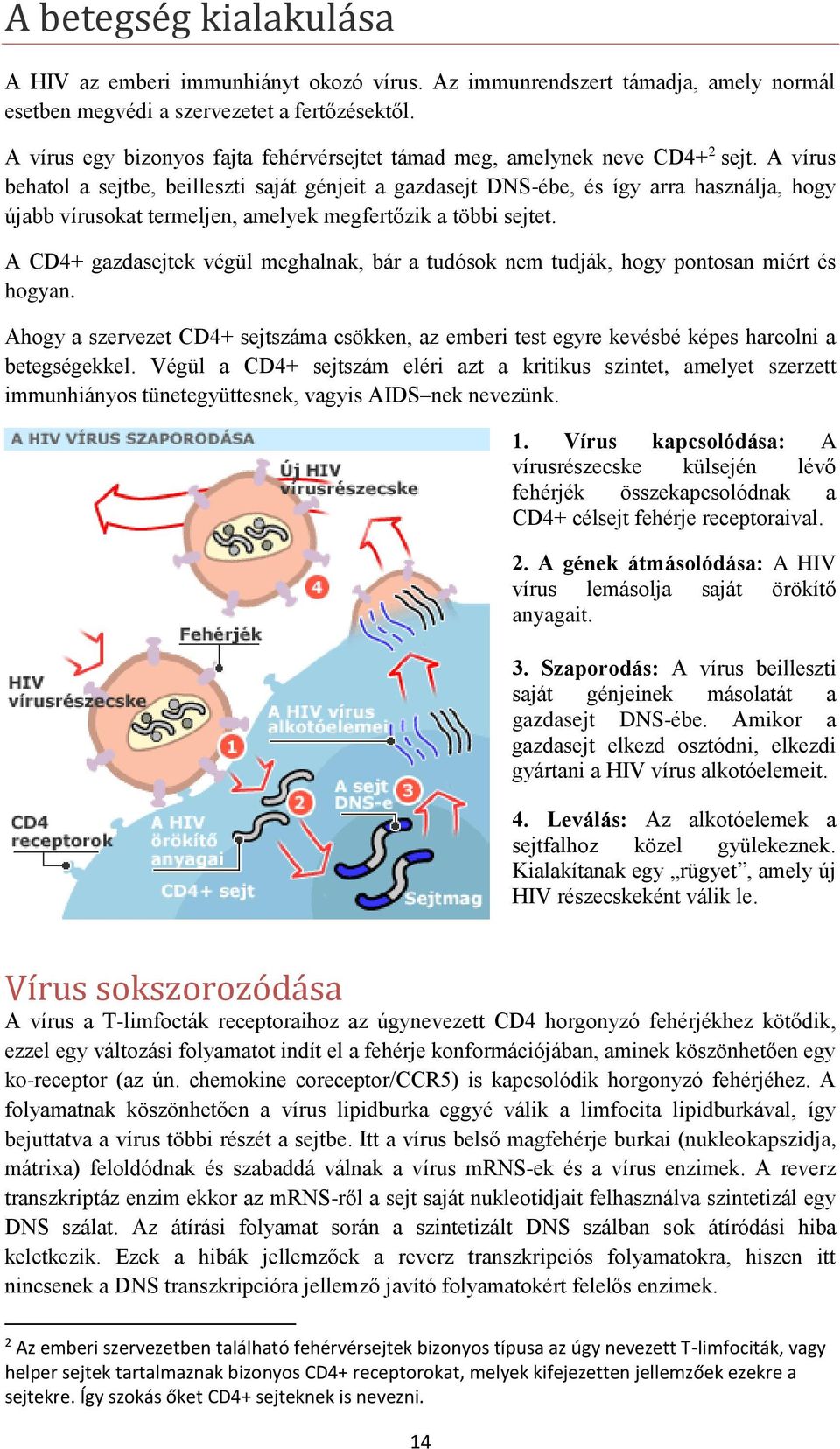 A HIV előfordulása és a részvétel megtartása az indiai Punéban