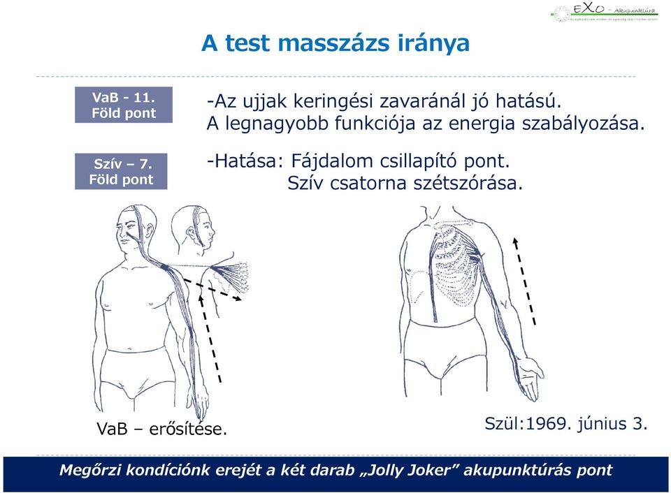 A legnagyobb funkciója az energia szabályozása.