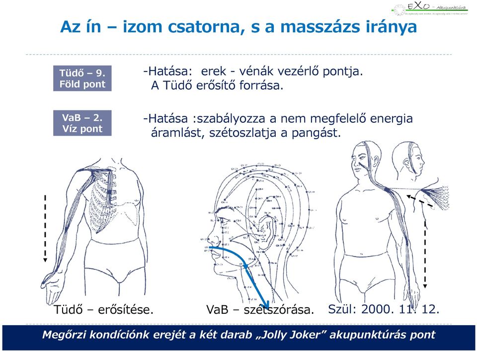 A Tüdő erősítő forrása. VaB 2.