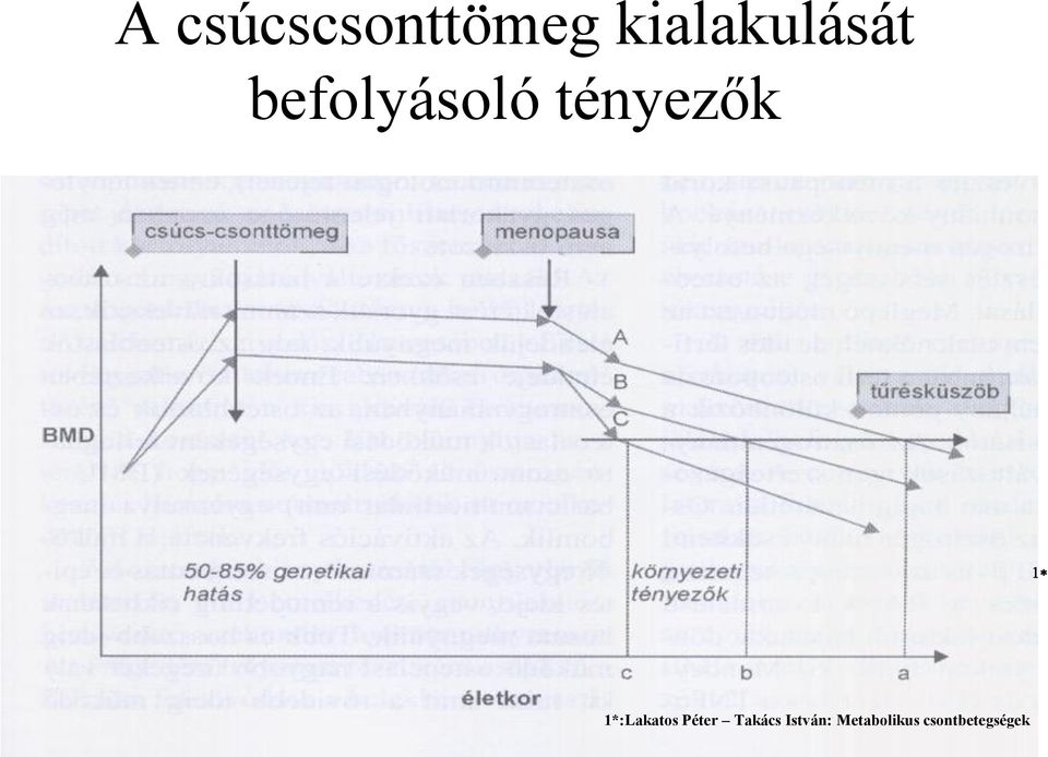 tényezők 1* 1*:Lakatos Péter