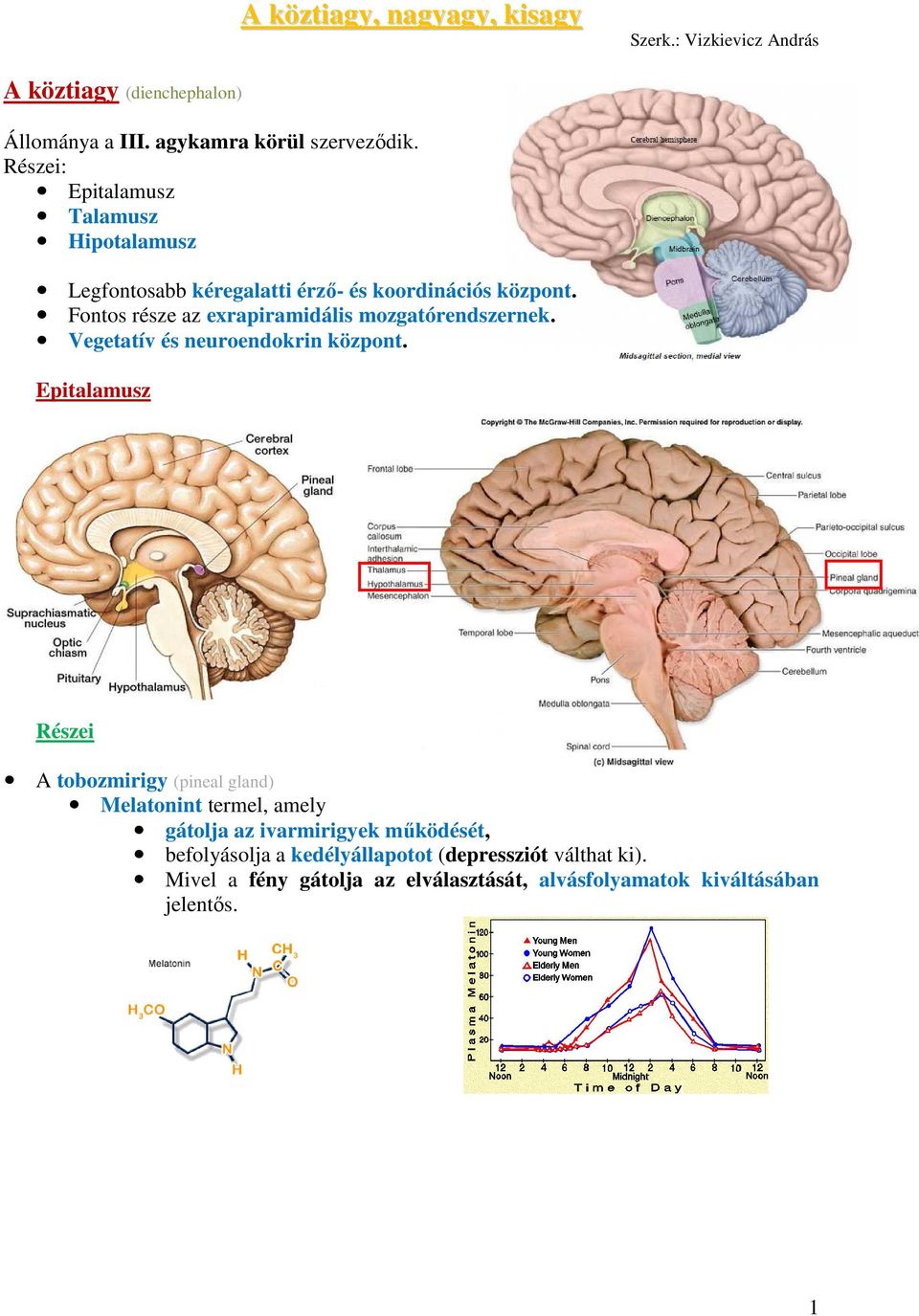 Fontos része az exrapiramidális mozgatórendszernek. Vegetatív és neuroendokrin központ.