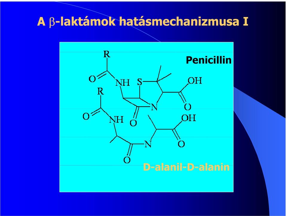 I Penicillin