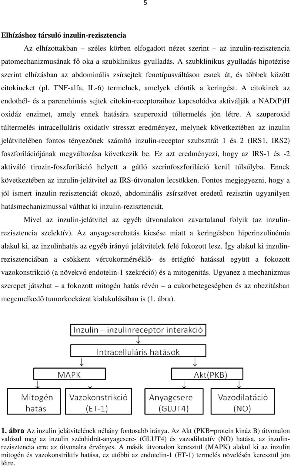 A citokinek az endothél- és a parenchimás sejtek citokin-receptoraihoz kapcsolódva aktiválják a NAD(P)H oxidáz enzimet, amely ennek hatására szuperoxid túltermelés jön létre.