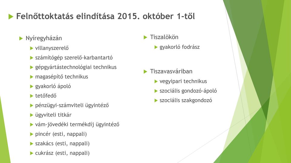 magasépítő technikus gyakorló ápoló tetőfedő pénzügyi-számviteli ügyintéző ügyviteli titkár vám-jövedéki