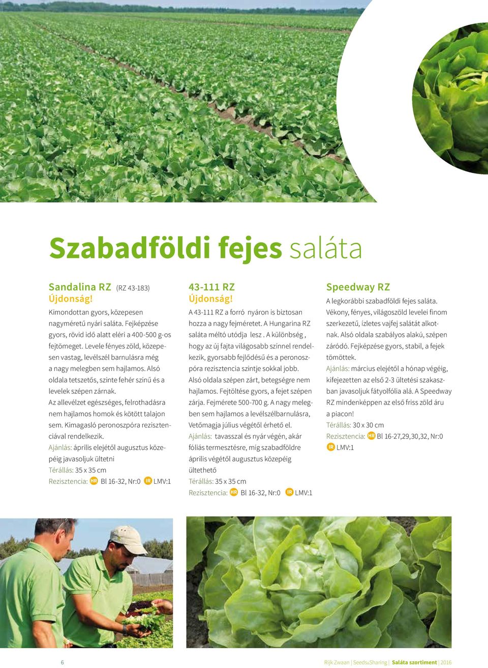 Az allevélzet egészséges, felrothadásra nem hajlamos homok és kötött talajon sem. Kimagasló peronosz póra rezisztenciával rendelkezik.