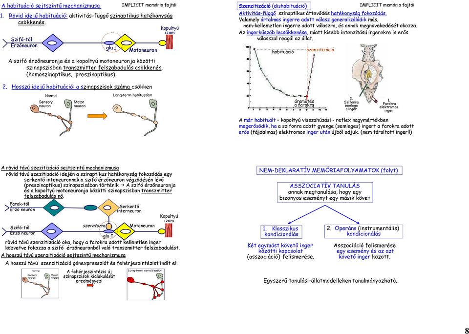 (homoszinaptikus, preszinaptikus) Szenzitizáció (dishabituáció) IMPLICIT memória fajtái Aktivitás-függő szinaptikus áttevődés hatékonyság fokozódás.