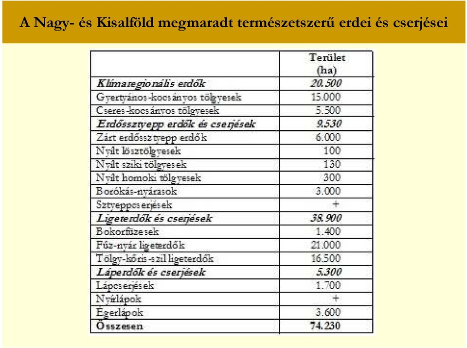 megmaradt