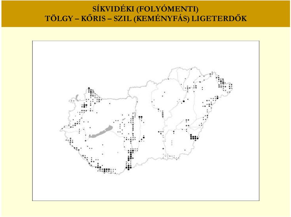 TÖLGY KİRIS