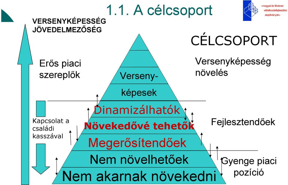 1. A célcsoport Versenyképesek Dinamizálhatók Növekedıvé tehetık