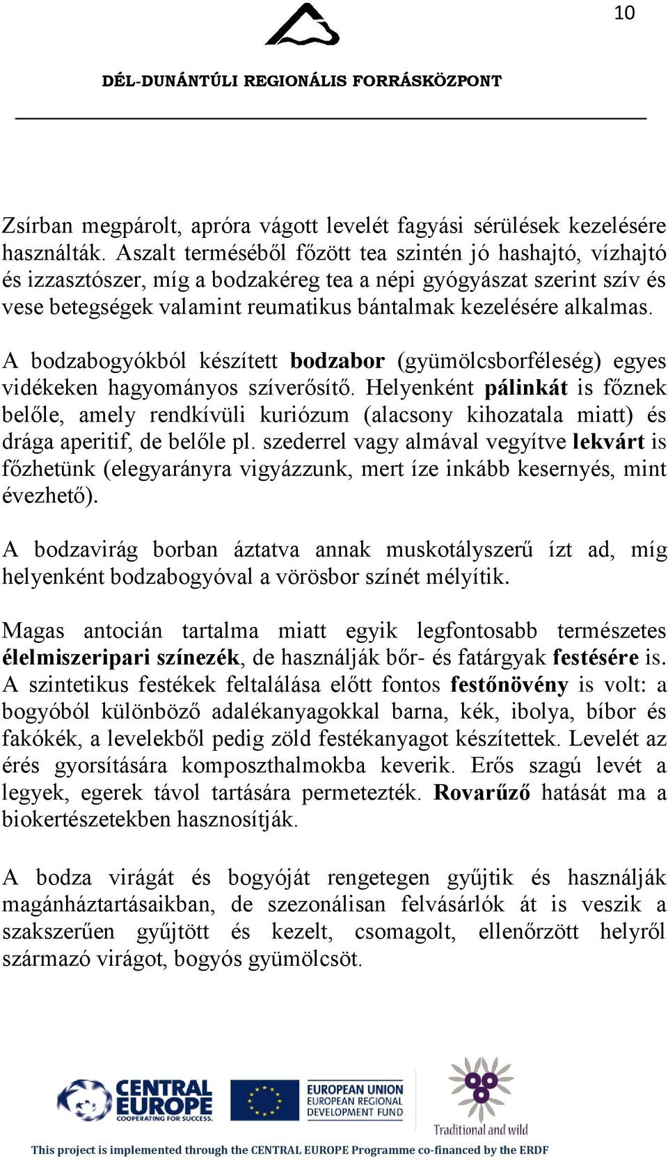 A bodzabogyókból készített bodzabor (gyümölcsborféleség) egyes vidékeken hagyományos szíverősítő.