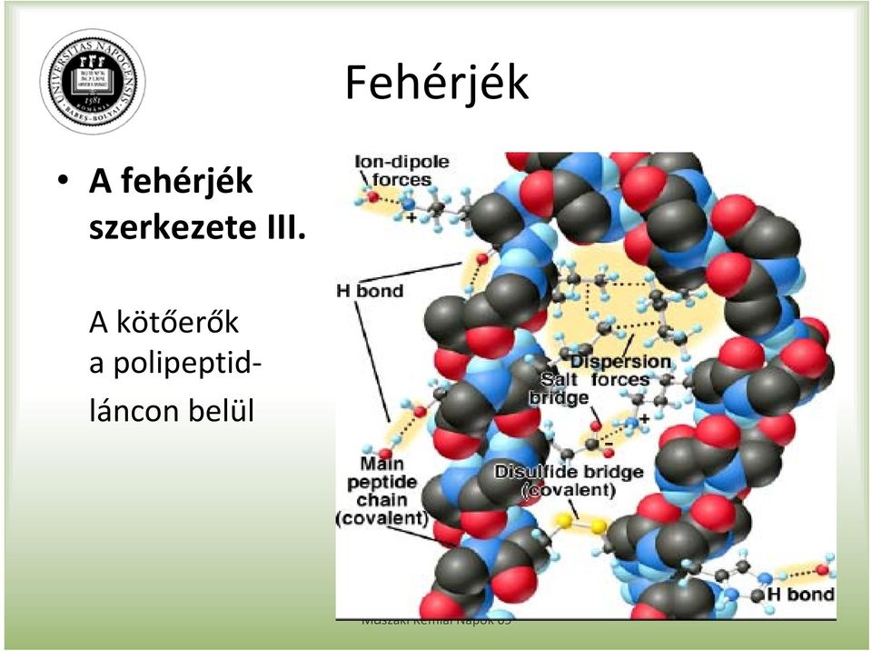 szerkezete III.