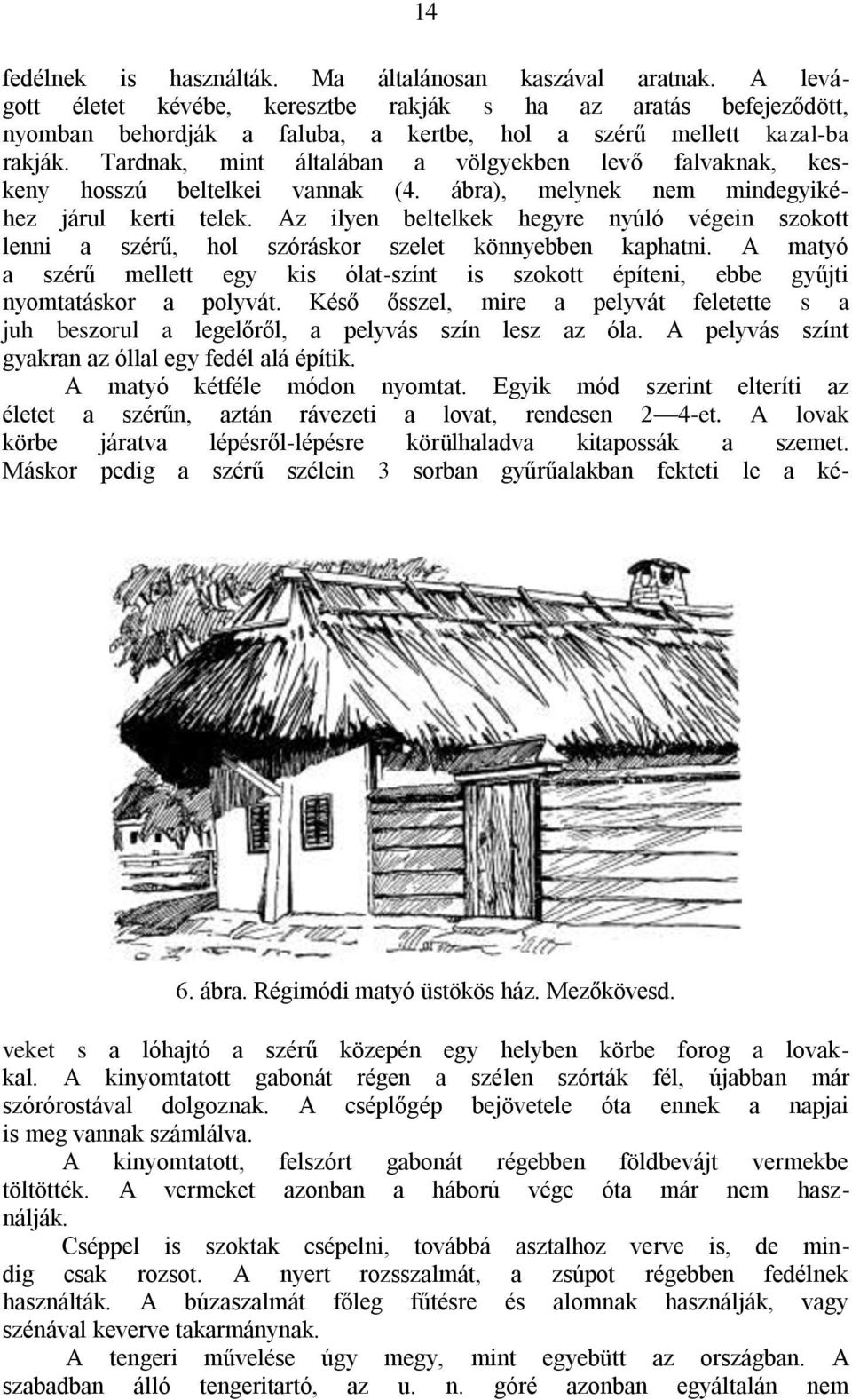 Tardnak, mint általában a völgyekben levő falvaknak, keskeny hosszú beltelkei vannak (4. ábra), melynek nem mindegyikéhez járul kerti telek.