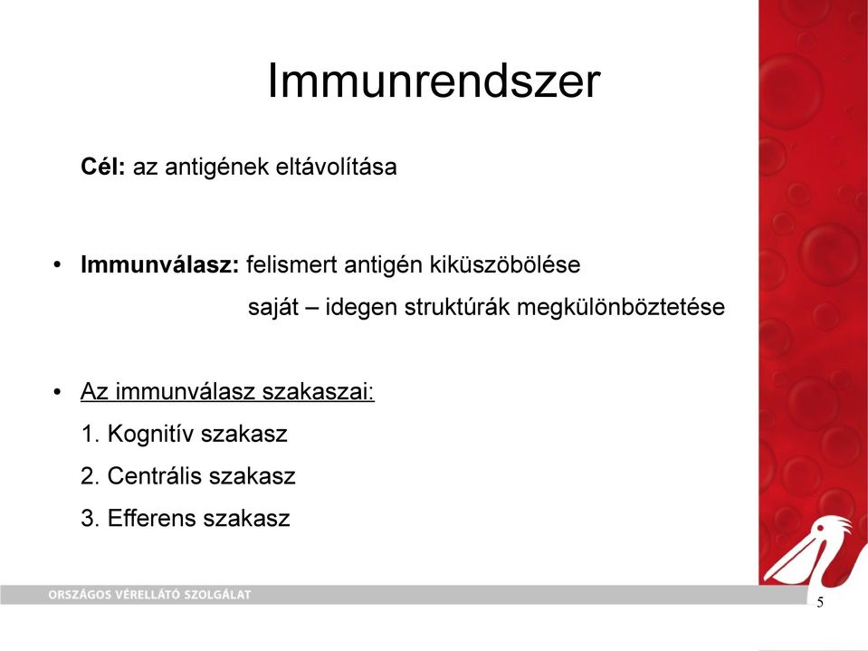 idegen struktúrák megkülönböztetése Az immunválasz