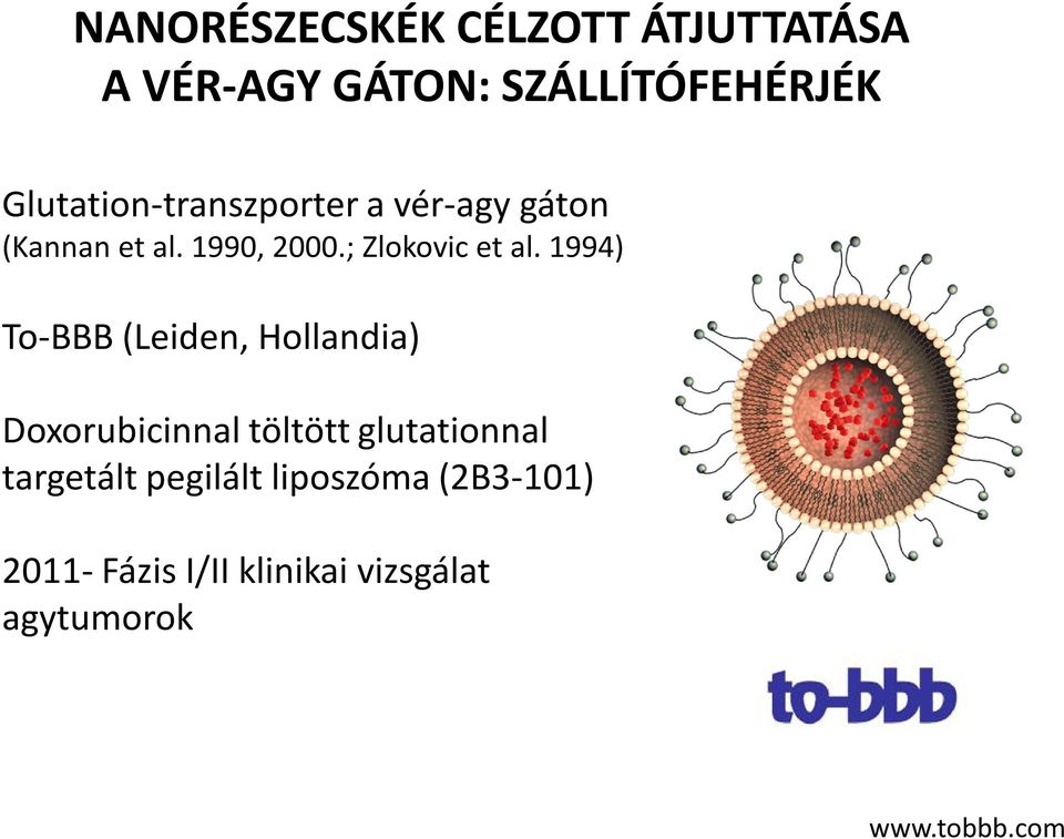 ; Zlokovic et al.