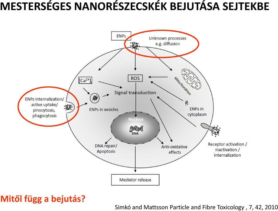 bejutás?