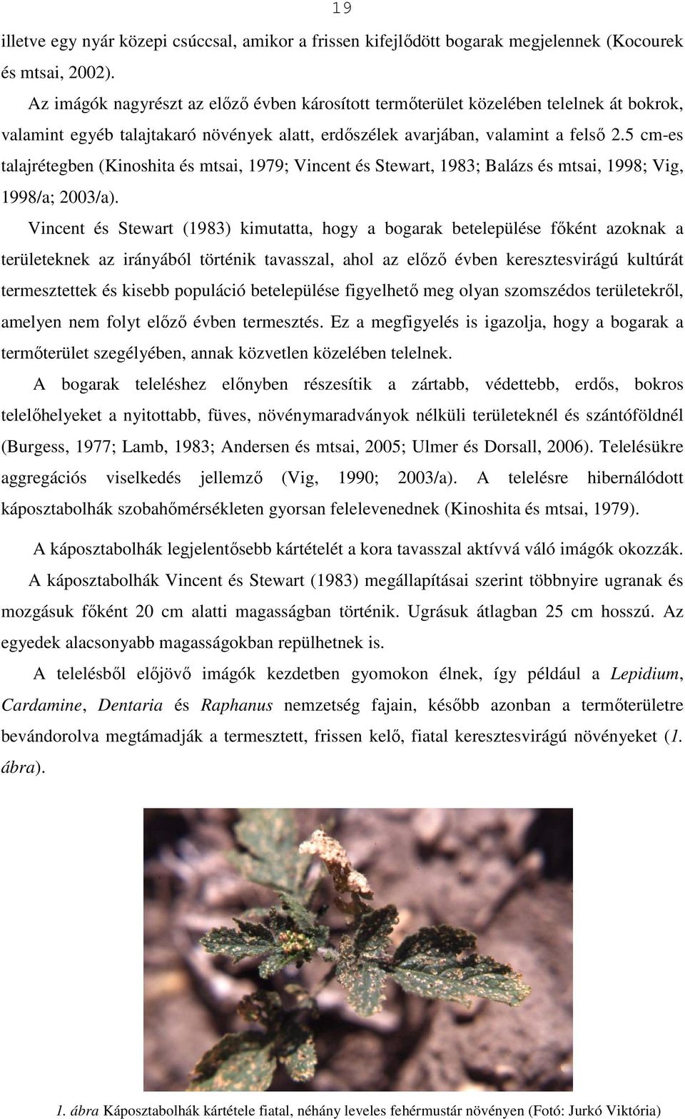 5 cm-es talajrétegben (Kinoshita és mtsai, 1979; Vincent és Stewart, 1983; Balázs és mtsai, 1998; Vig, 1998/a; 2003/a).