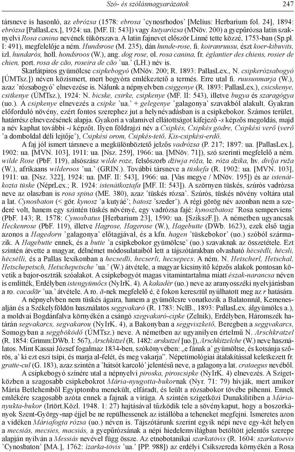 koiranruusu, észt koer-kibuvits, izl. hundarós, holl. hondsroos (W.), ang. dog rose, ol. rosa canina, fr. églantier des chiens, rosier de chien, port. rosa de cão, roseira de cão ua. (LH.) név is.