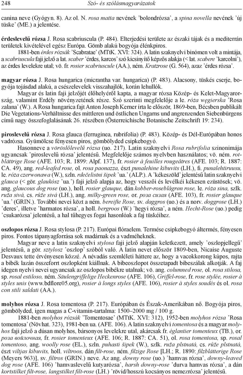 A latin szaknyelvi binómen volt a mintája, a scabriuscula faji jelző a lat. scaber érdes, karcos szó kicsinyítő képzős alakja (< lat. scabere karcolni ), az érdes levelekre utal; vö. fr.