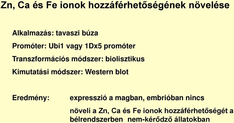 Kimutatási módszer: Western blot Eredmény: expresszió a magban, embrióban