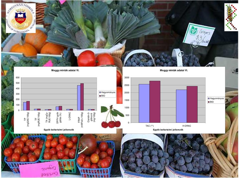 L-ORAC FRAP (mmfe2+/1g) Cianidin-3- glükozid (mg/1g) Egyéb