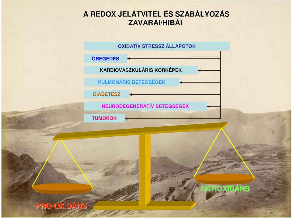 KARDIOVASZKULÁRIS KÓRKÉPEK PULMONÁRIS BETEGSÉGEK