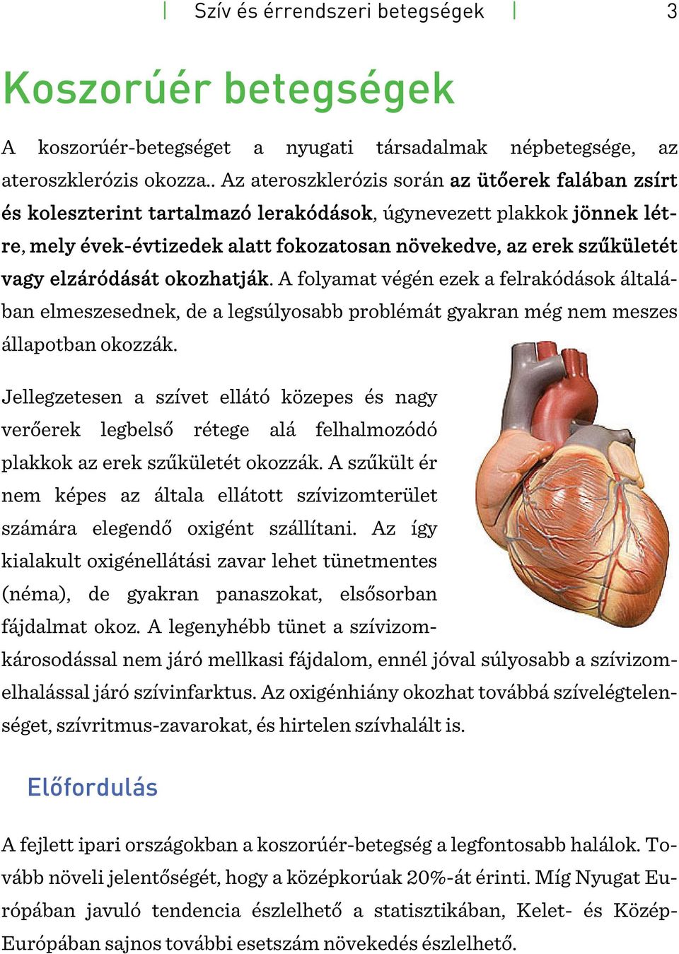Szív- és érrendszeri betegségek 2. – Szív koszorúér szűkület