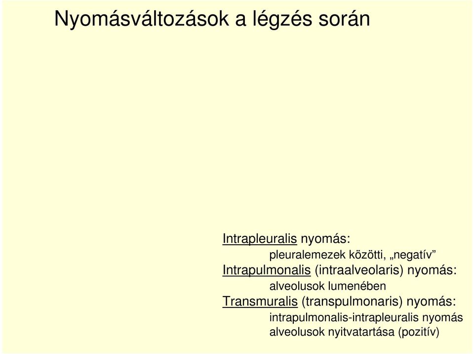 nyomás: alveolusok lumenében Transmuralis (transpulmonaris)