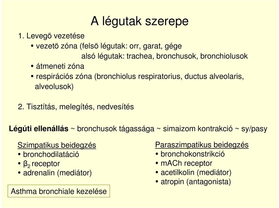 respirációs zóna (bronchiolus respiratorius, ductus alveolaris, alveolusok) 2.