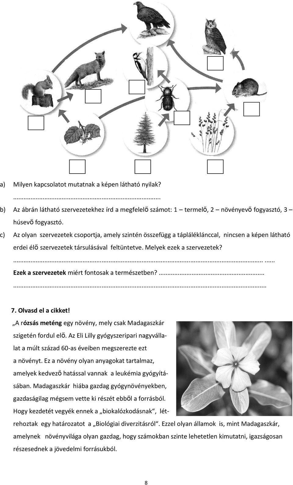 ...... Ezek a szervezetek miért fontosak a természetben?...... 7. Olvasd el a cikket! A rózsás meténg egy növény, mely csak Madagaszkár szigetén fordul elı.