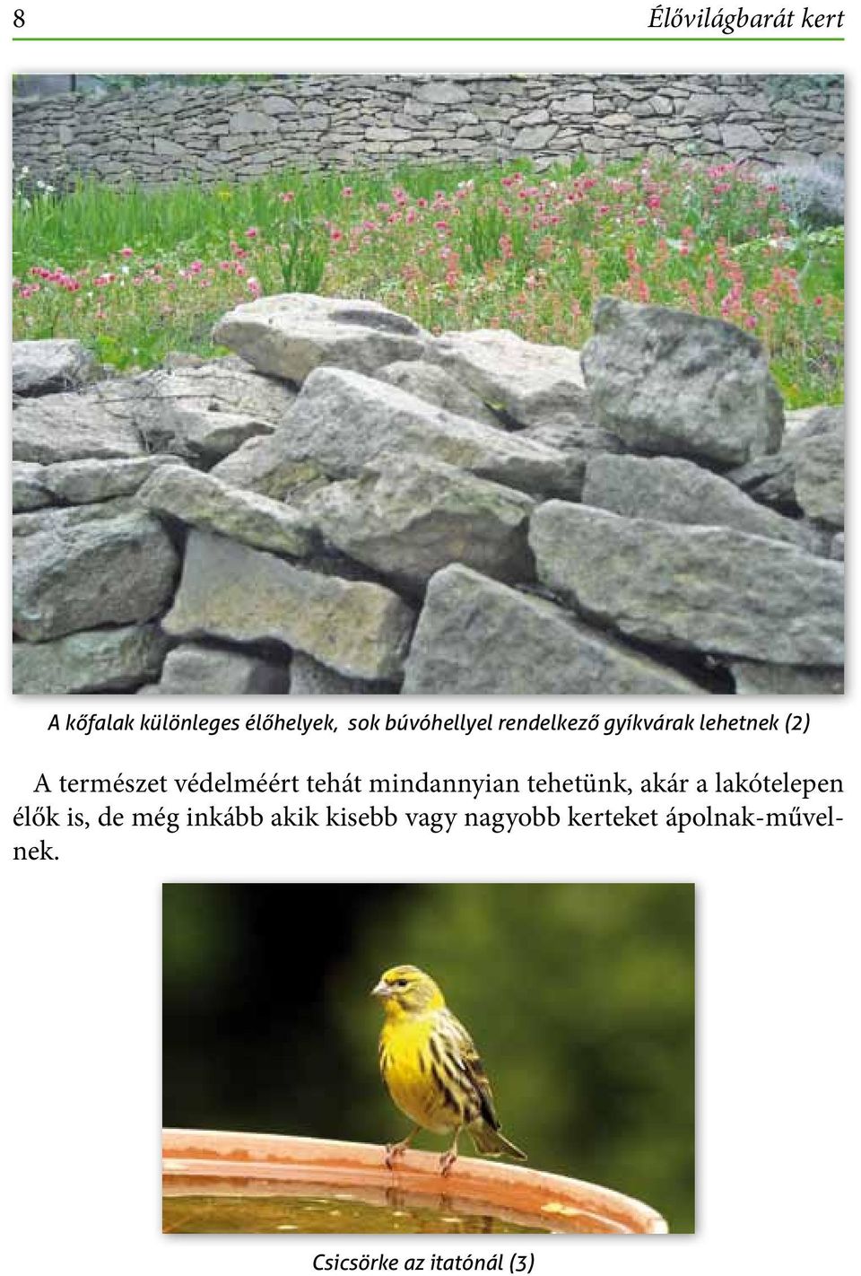 mindannyian tehetünk, akár a lakótelepen élők is, de még inkább akik