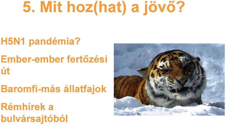Ember-ember fertőzési út