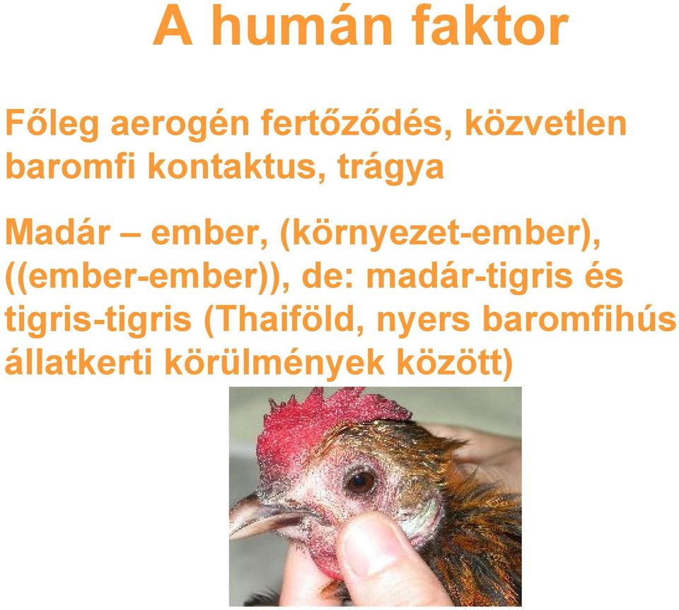 (környezet-ember), ((ember-ember)), de: madár-tigris