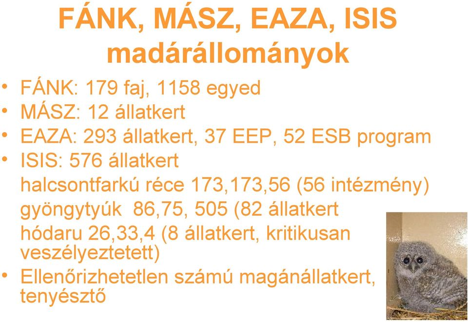 173,173,56 (56 intézmény) gyöngytyúk 86,75, 505 (82 állatkert hódaru 26,33,4 (8